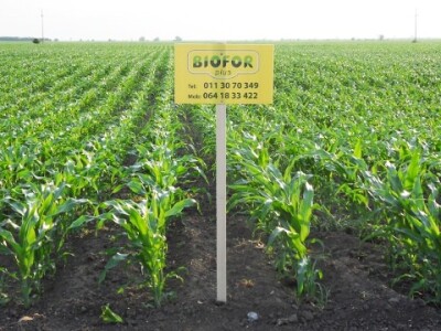 Mikrobiološko đubrivo - BIOFOR Plus