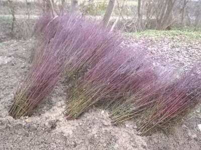 podloge a kalemljenje