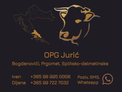 Podolci – Podolsko govedo (mađarsko sivo govedo)