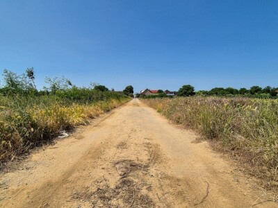 Poljoporivredno zemljište (orasi u punom rodu) 4.892 m2 - Tenja