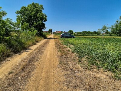 Poljoporivredno zemljište (orasi u punom rodu) 4.892 m2 - Tenja