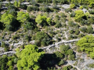 Poljoprivedno zemljište 11.120 m2 - Lovrečina (Brač)