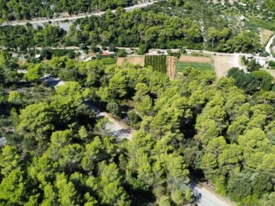 Poljoprivedno zemljište 11.120 m2 - Lovrečina (Brač)
