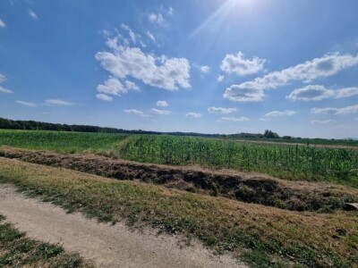 Poljoprivedno zemljište 1.812 m2 - Strmec