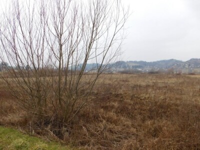 Poljoprivredno zemljište 3.730 m2 - blizina Tuheljskih toplica