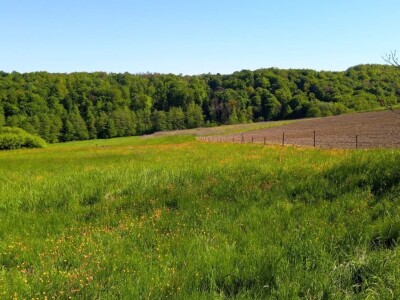 Poljoprivredno imanje 45.000 ili 60.000 m2 sa gradevinskim dijelom, sumom, bunarom i potokom