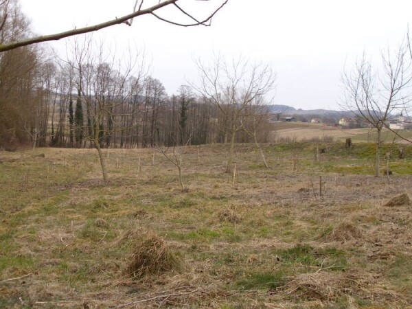 Poljoprivredno zemljište