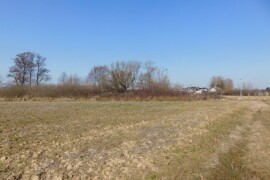 Poljoprivredno zemljište 13.828 m2 - Rakovec