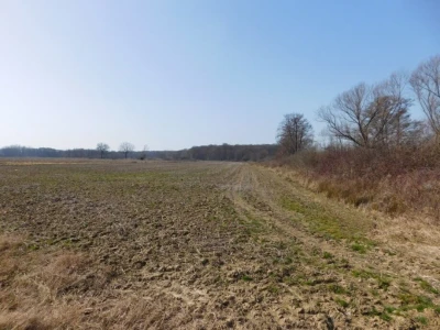 Poljoprivredno zemljište 13.828 m2 - Rakovec