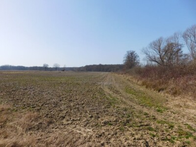 Poljoprivredno zemljište 13.828 m2 - Rakovec