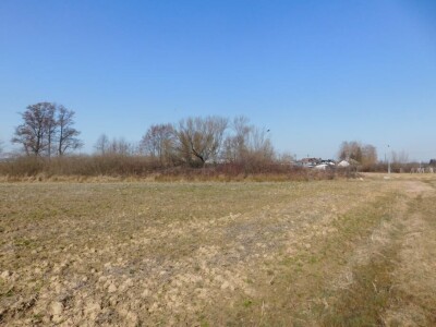 Poljoprivredno zemljište 13.828 m2 - Rakovec