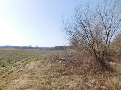 Poljoprivredno zemljište 13.828 m2 - Rakovec