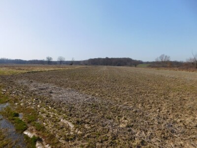 Poljoprivredno zemljište 13.828 m2 - Rakovec