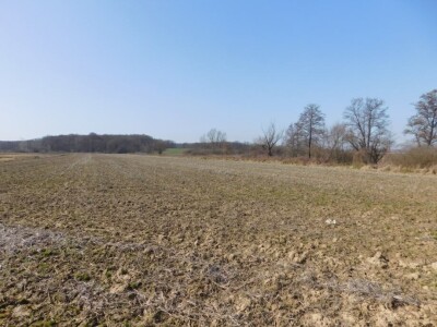 Poljoprivredno zemljište 13.828 m2 - Rakovec