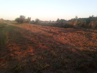 Poljoprivredno zemljiste