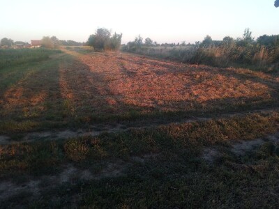 Poljoprivredno zemljiste