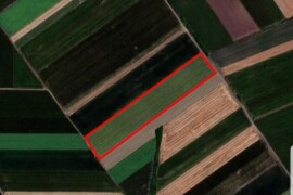 Poljoprivredno zemljište 230,19a - Šimanovački drum (Srem)