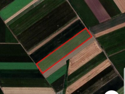 Poljoprivredno zemljište 230,19a - Šimanovački drum (Srem)