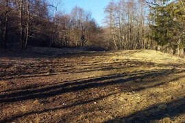 Poljoprivredno zemljište - Klana