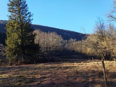 Poljoprivredno zemljište