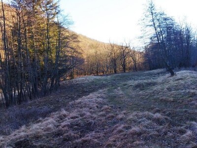 Poljoprivredno zemljište