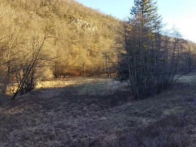 Poljoprivredno zemljište