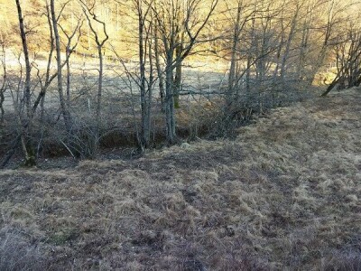 Poljoprivredno zemljište