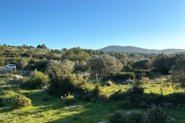 Poljoprivredno zemljište 930 m2 - Prihonja (blizina Vele Luke)