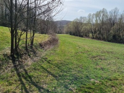 Poljoprivredno zemljište, Bjelovar / Veliko Trojstvo / Vrbica, 4222 m²