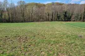 Poljoprivredno zemljište, Bjelovar / Veliko Trojstvo / Vrbica, 4222 m²