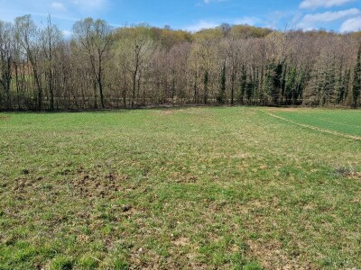 Poljoprivredno zemljište, Bjelovar / Veliko Trojstvo / Vrbica, 4222 m²