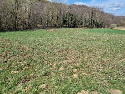 Poljoprivredno zemljište, Bjelovar / Veliko Trojstvo / Vrbica, 4222 m²