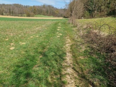 Poljoprivredno zemljište, Bjelovar / Veliko Trojstvo / Vrbica, 4222 m²