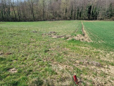 Poljoprivredno zemljište, Bjelovar / Veliko Trojstvo / Vrbica, 4222 m²