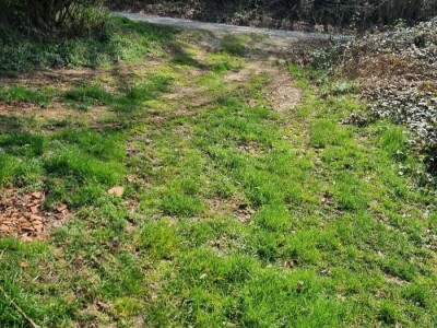 Poljoprivredno zemljište, Bjelovar / Veliko Trojstvo / Vrbica, 4222 m²