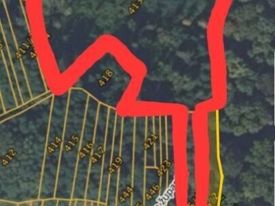 Poljoprivredno zemljište (šuma) 16.000 m2 - s drvenom kućicom 11 m2