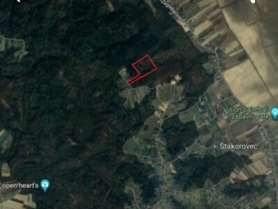 Poljoprivredno zemljište (šuma) 16.000 m2 - s drvenom kućicom 11 m2