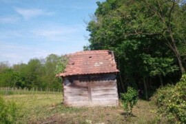Poljoprivredno zemljište (šuma) 16.000 m2 - s drvenom kućicom 11 m2