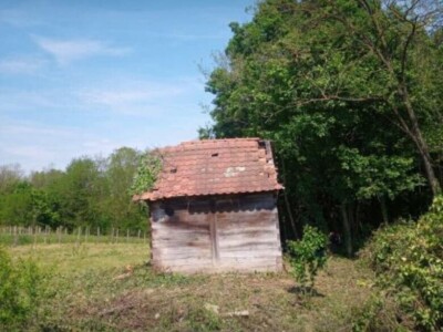 Poljoprivredno zemljište (šuma) 16.000 m2 - s drvenom kućicom 11 m2