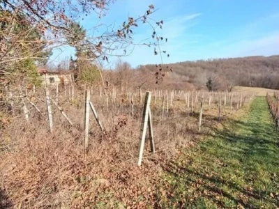 Poljoprivredno zemljište (vinograd)