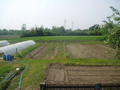 Prodaje se poljoprivredno zemljište u Zagrebu (Petruševec), 25000 m2 - VRT