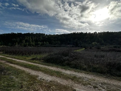 Poljska kućica s prostranim poljoprivrednim zemljištem - Bršćanovica (nedaleko od Blata)