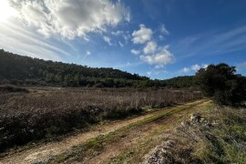 Poljska kućica s prostranim poljoprivrednim zemljištem - Bršćanovica (nedaleko od Blata)