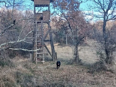 Poljoprivredno zemljište - Poreč-Istra
