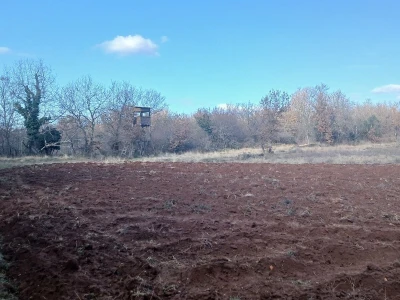 Poljoprivredno zemljište - Poreč-Istra