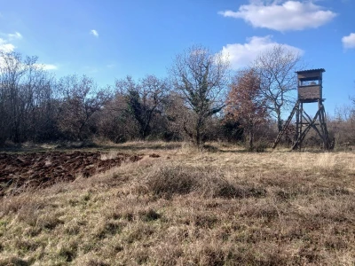 Poljoprivredno zemljište - Poreč-Istra