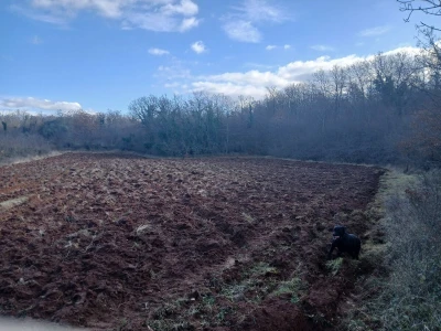 Poljoprivredno zemljište - Poreč-Istra