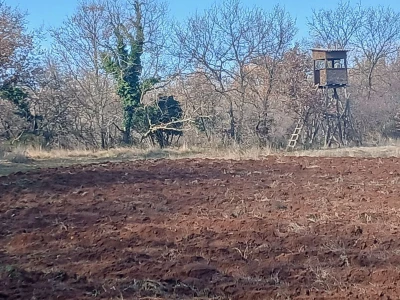 Poljoprivredno zemljište - Poreč-Istra