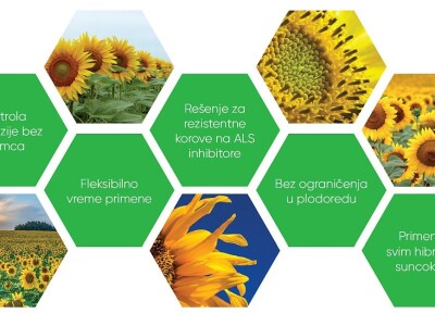 Viballa - rešava širokolisne korove u suncokretu