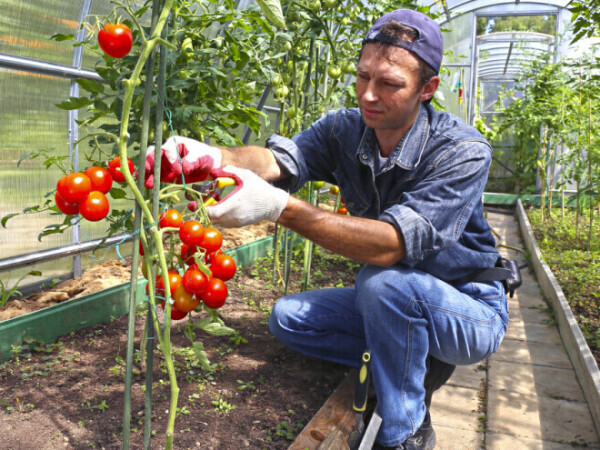Postani Agrotehničar - novi program koji objedinjuje tri stara, prijave u tijeku!